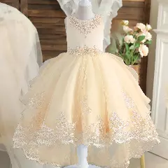 Aviles Champagne Beaded High-Low Tulle Party Dress for Girls