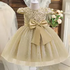 Halston Champagne Beige Sequin Lace Tulle Party Dress for Girls