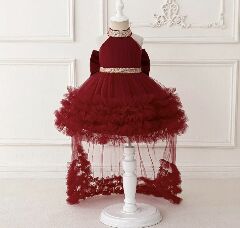 Georgia Maroon Tiered Tulle Party Dress with Removable Tail