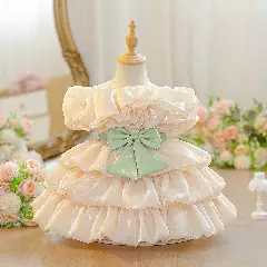 Sophie V Champagne Tiered Satin Baby Party Dress with Sage Bow