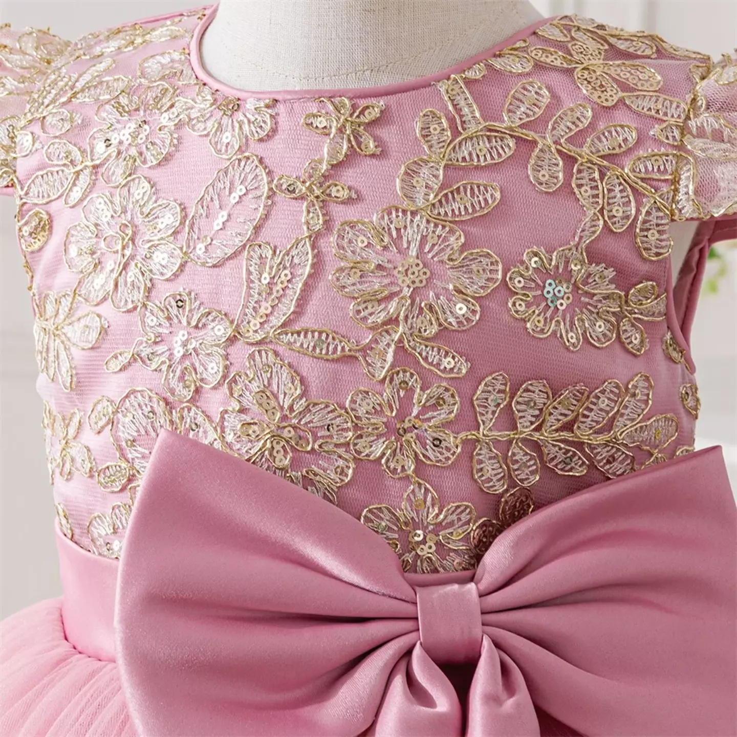 Daria Dusty Pink Cap Sleeve Embroidered Girls Party Dress