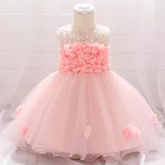 Francesca Peach Pink Embroidered Mesh Baby Party Dress