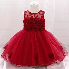 Francesca Maroon Curled Tulle Hem Baby & Toddler Dress