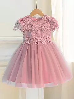 Jean II Dusty Pink Scalloped Lace Tulle Knee Length Girls Party Dress